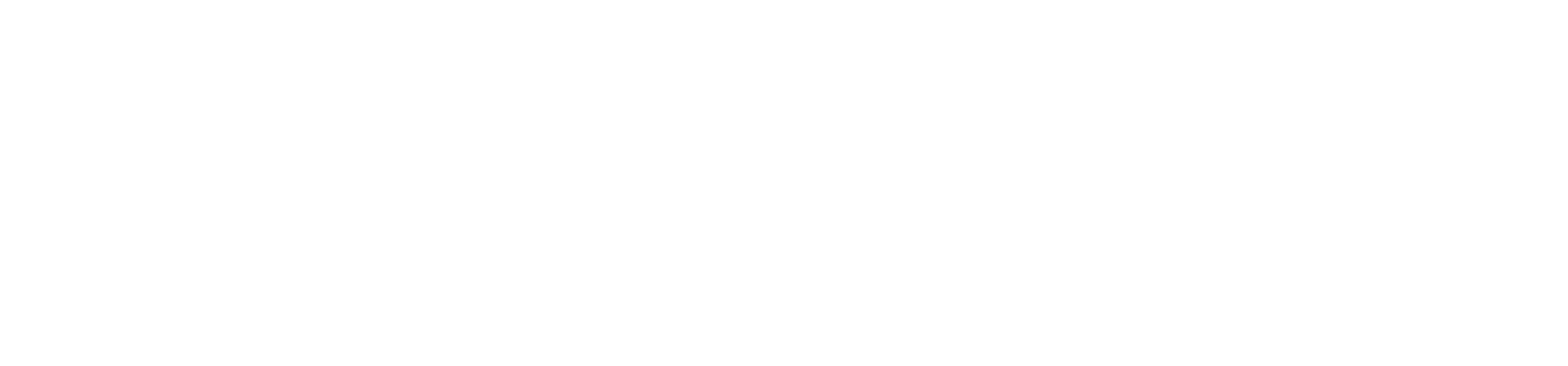 Encephalo Investments